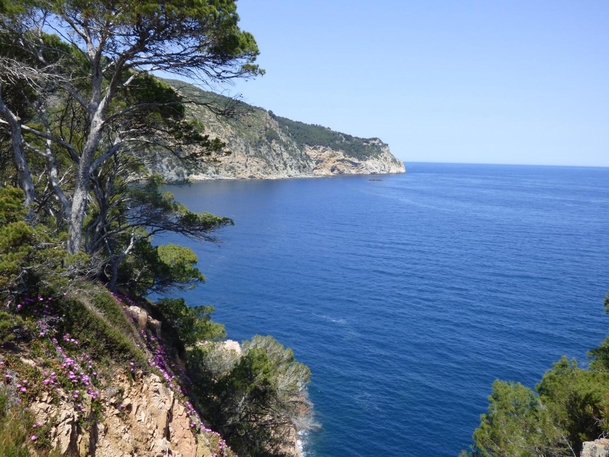 "La Terrasse De La Mer 8" -Climatisation-Wifi-Bbq -Piscine-Parking Begur Zewnętrze zdjęcie